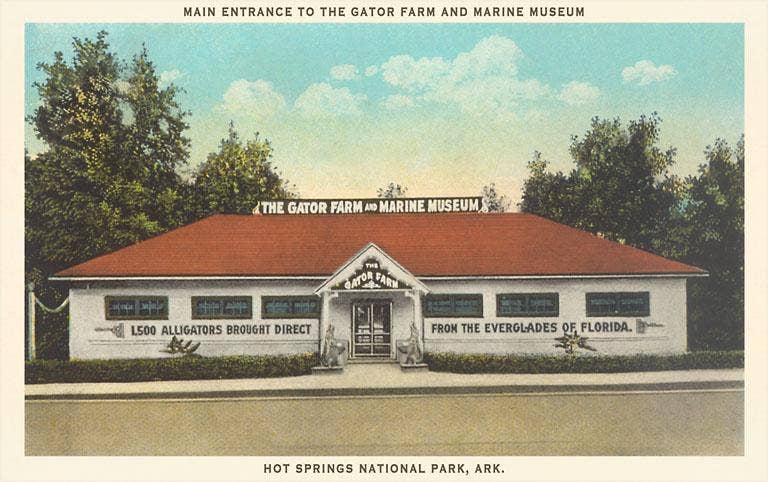 AR-147 Hot Springs Gator Farm - Vintage Image, Magnet