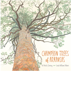 Champion Trees of Arkansas