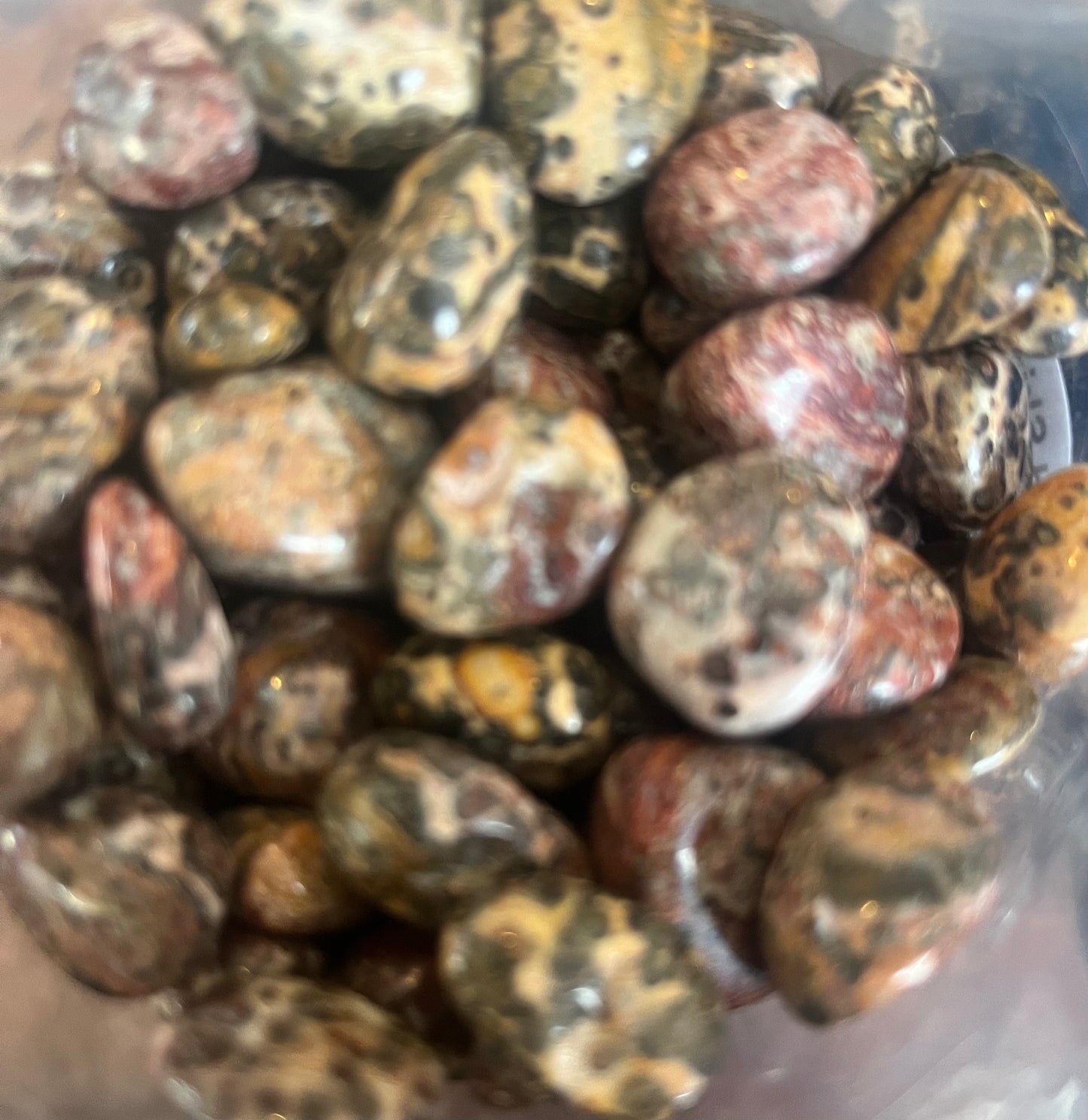 Leopard Jasper