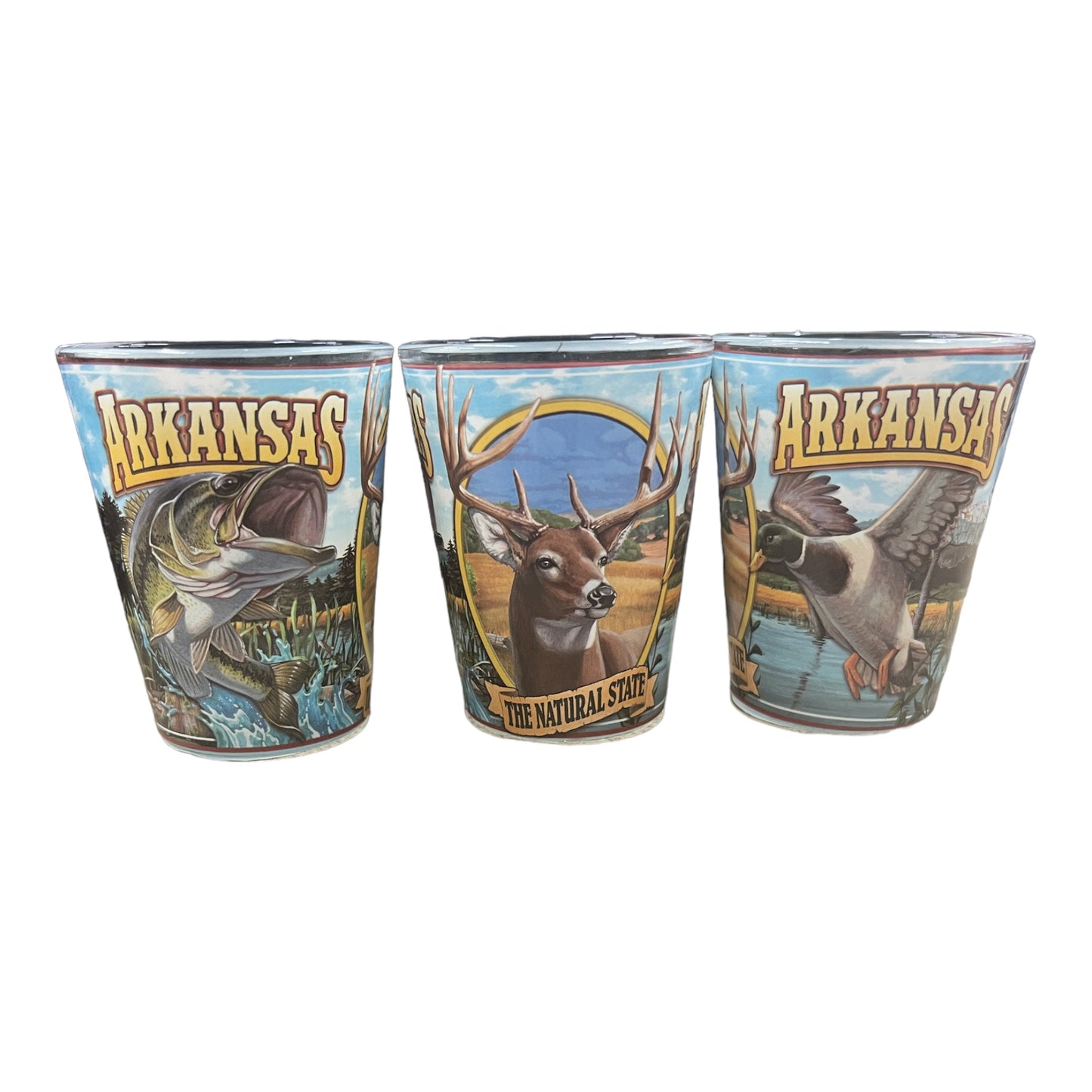 Arkansas Mural Shot Glass