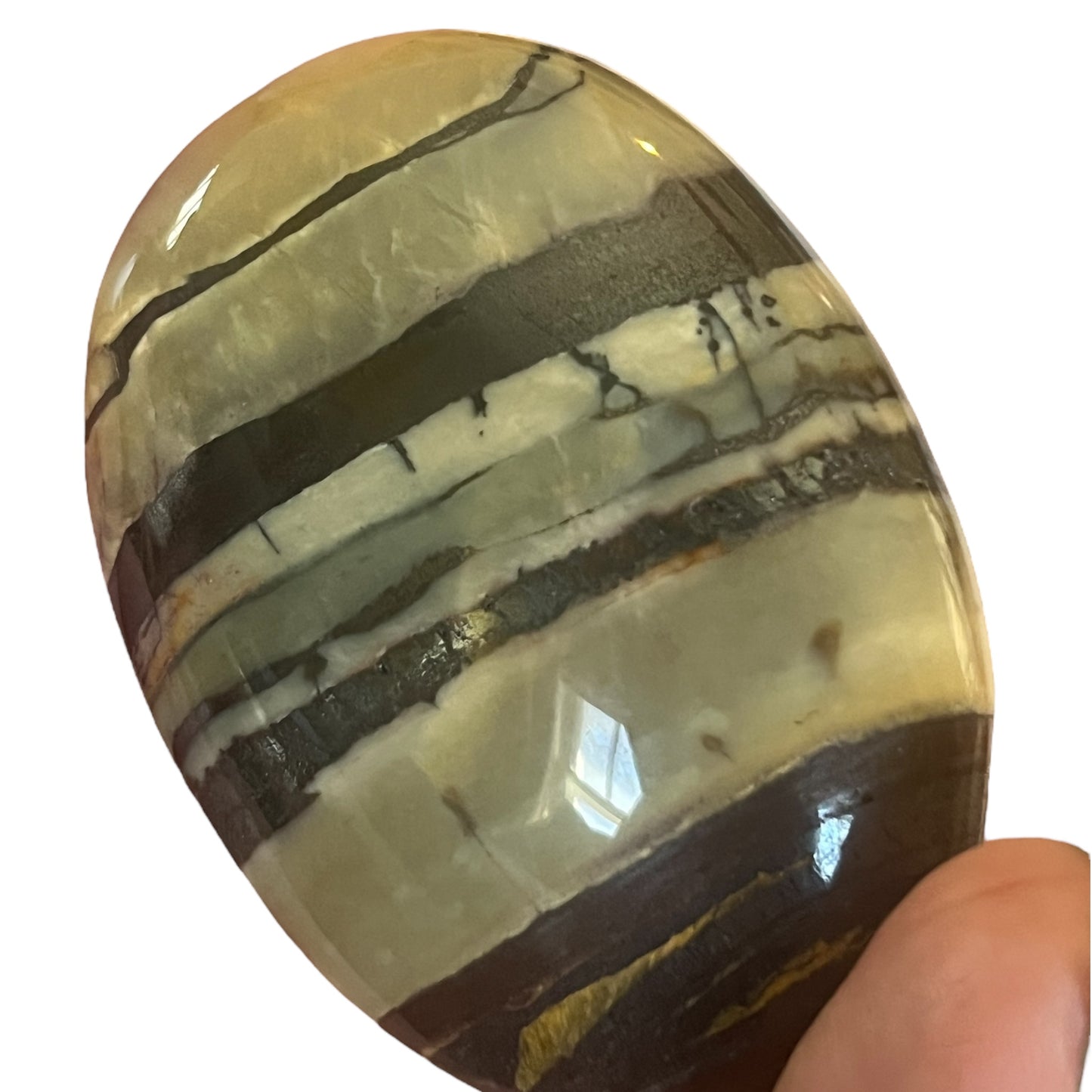 Tiger Iron Palm Stone