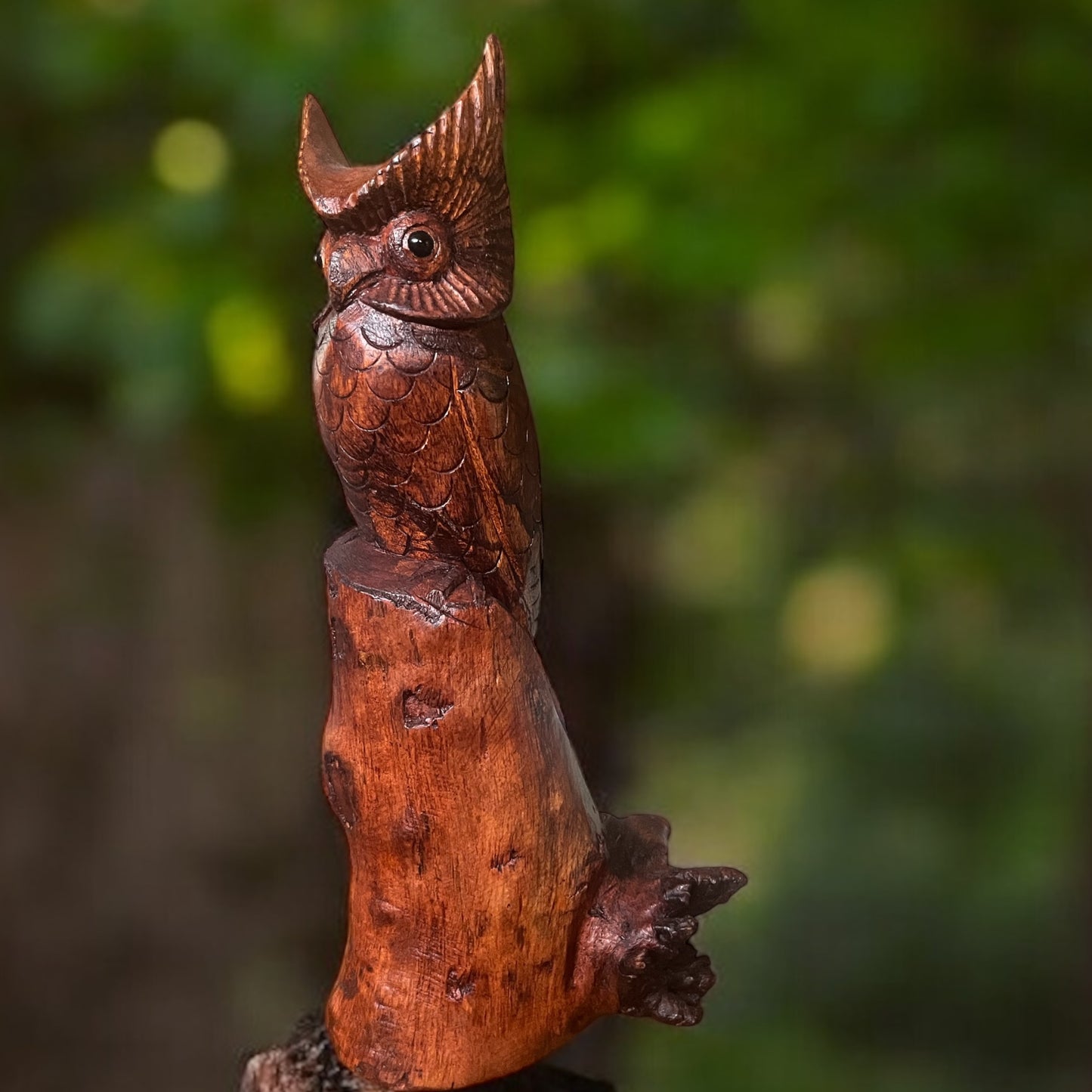 Owl Perched on Stump