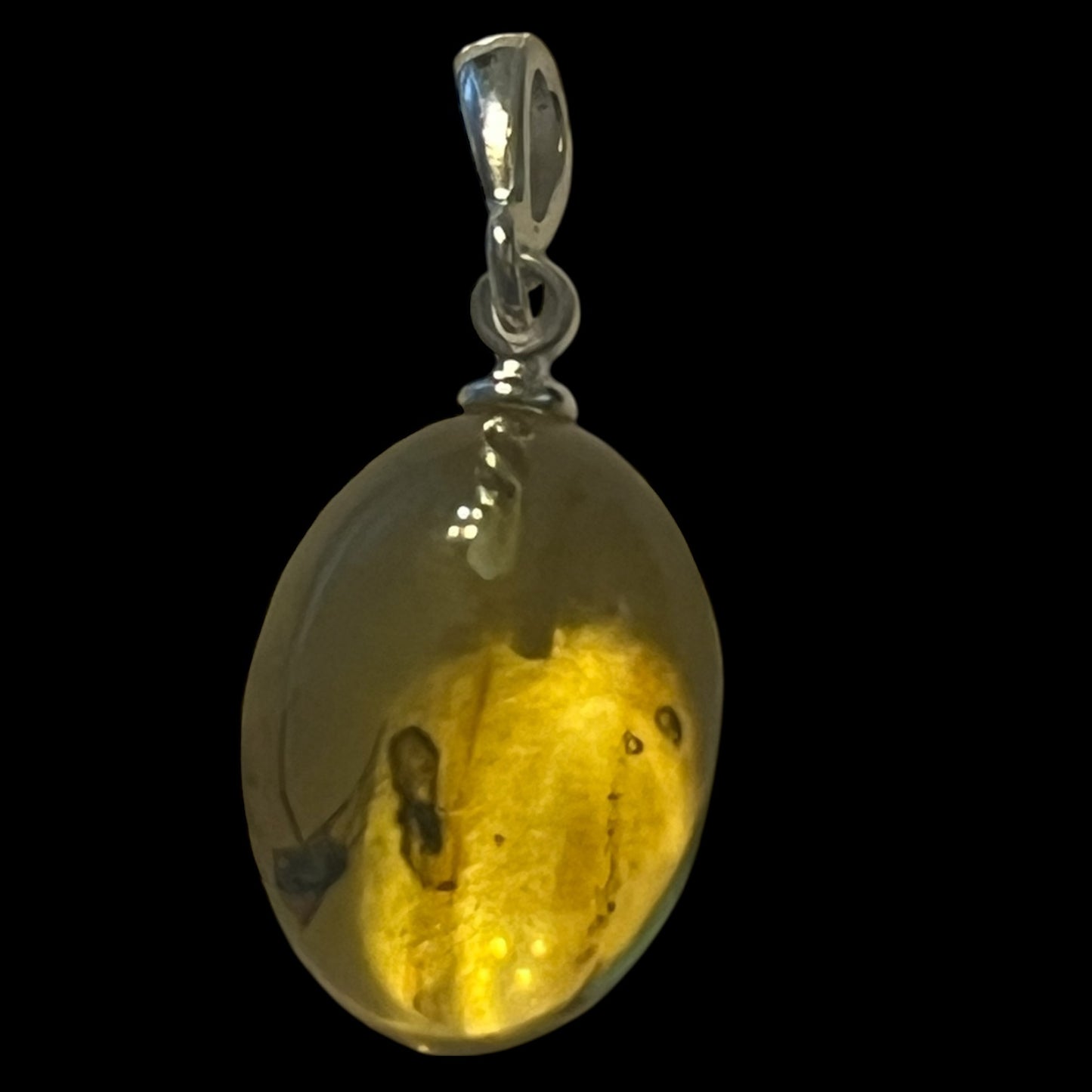 Baltic Amber Pendant **VISIBLE INSECTS**