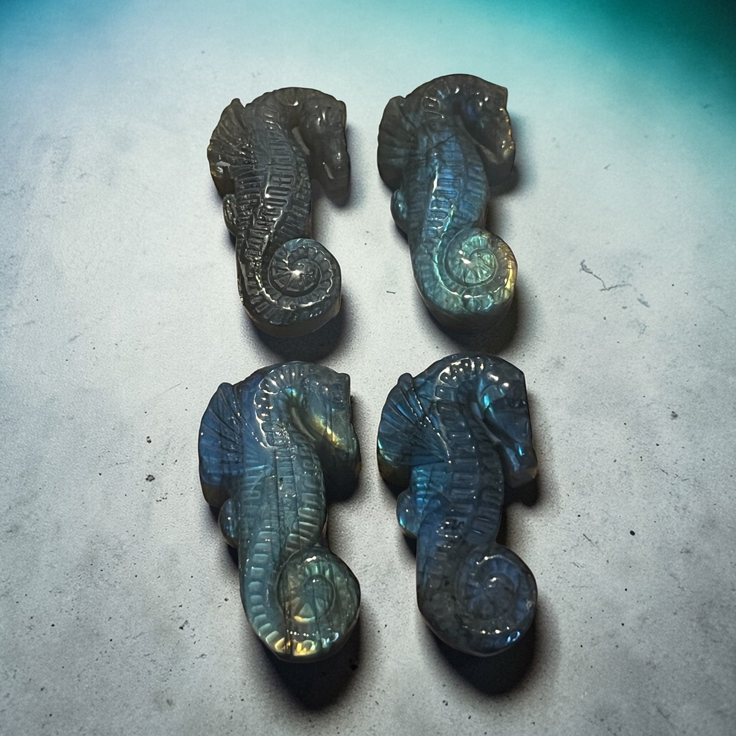 Carved Stone Seahorse | Labradorite or Fluorite (Approx. 2.5”)