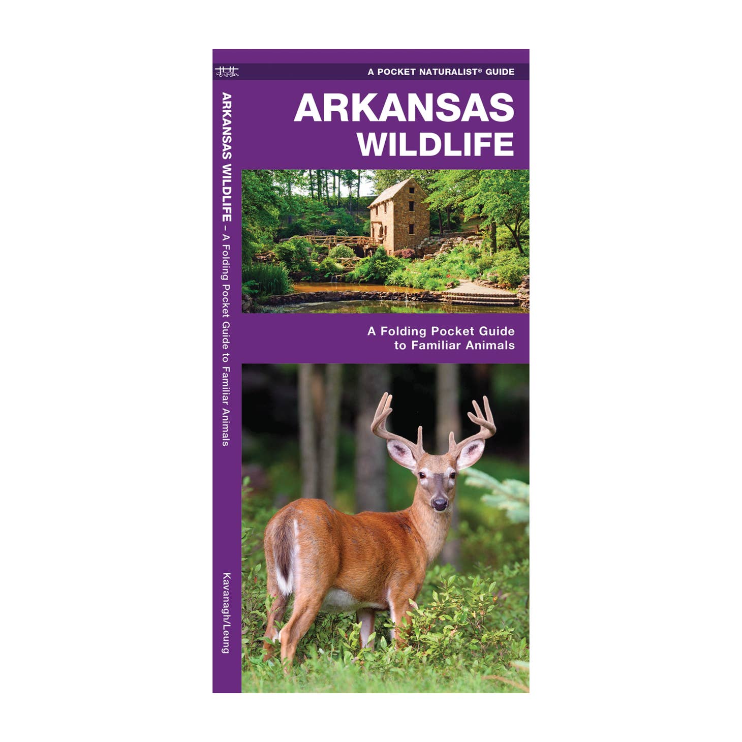 Arkansas Wildlife