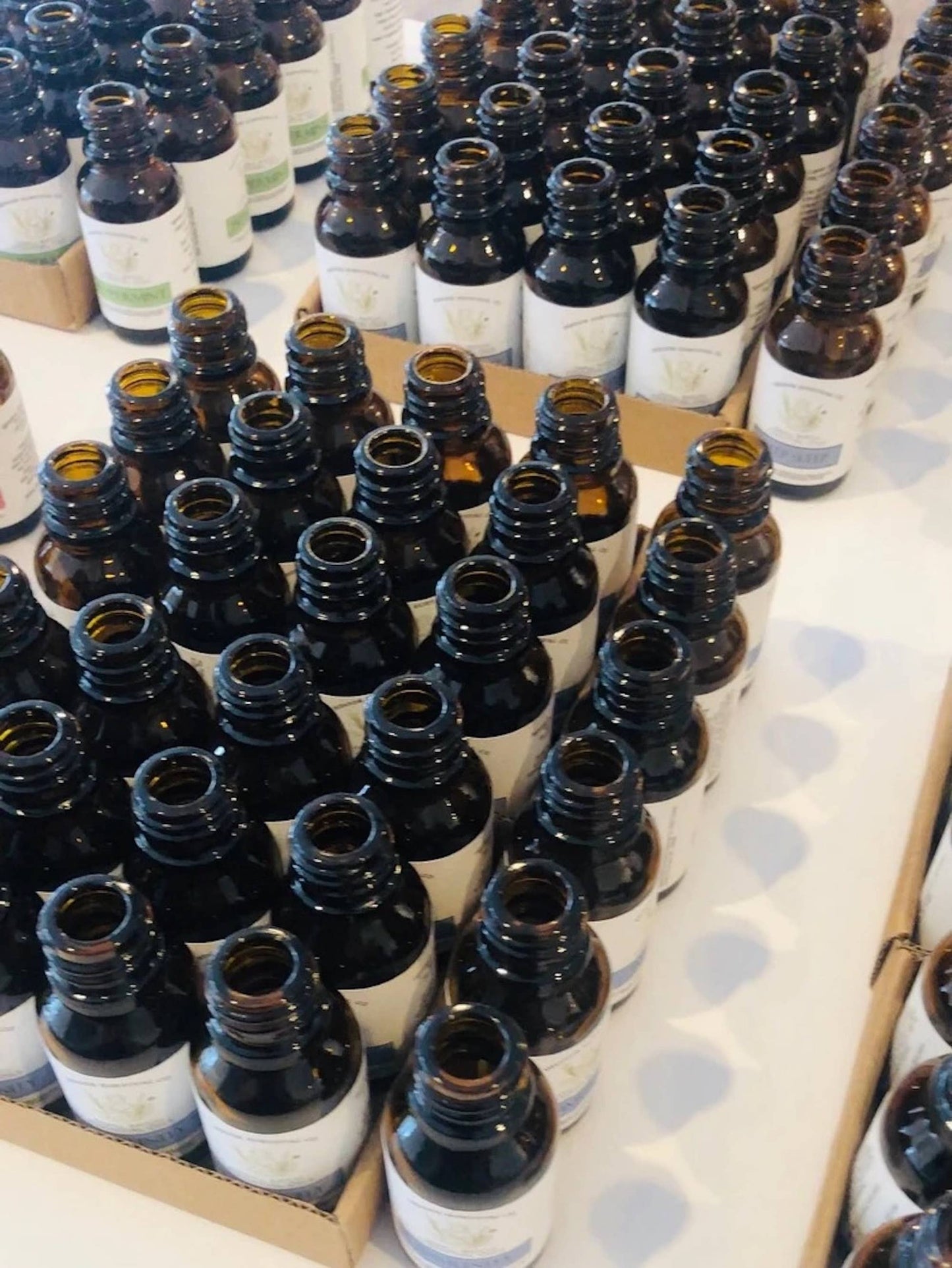 Bergamot Essential Oil 10ml - 100% Pure