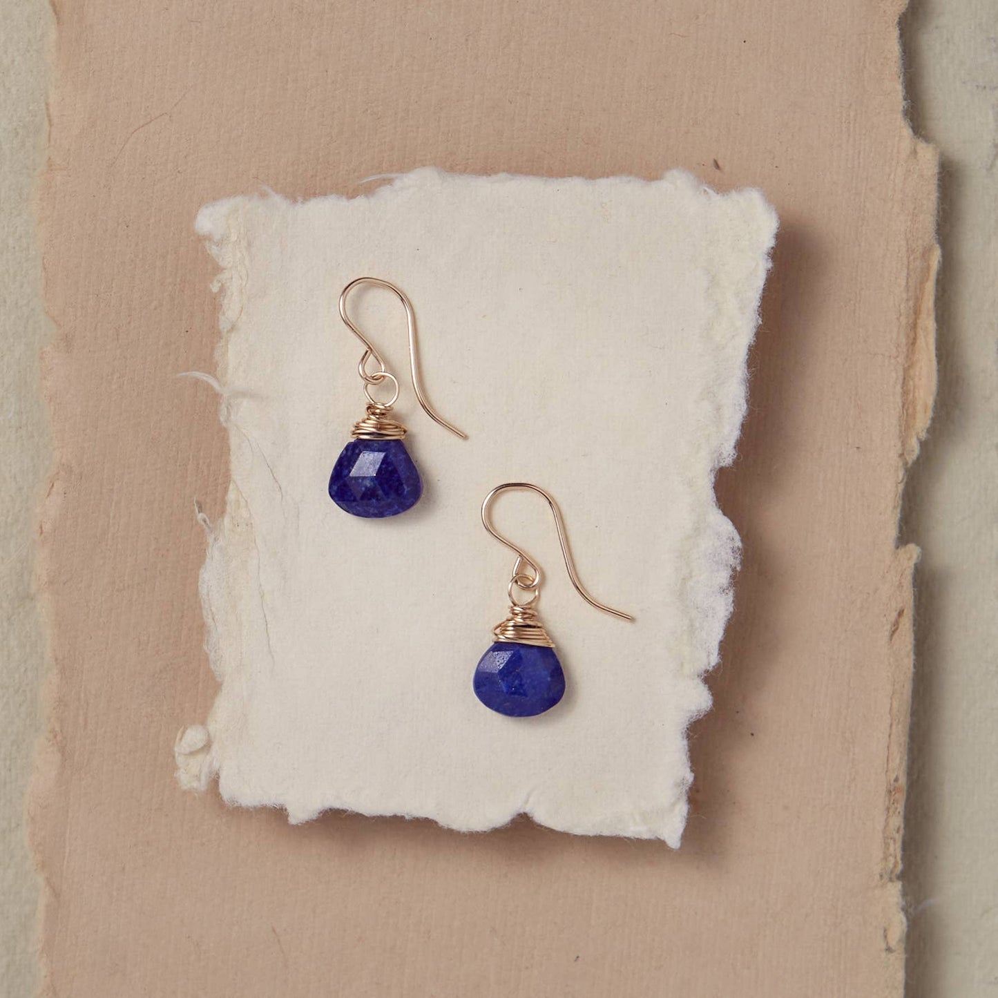 Pantone Earrings - Lapis Natural Stone Earrings