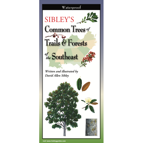 Sibley's Trees of Trails and Forests of the Southeast