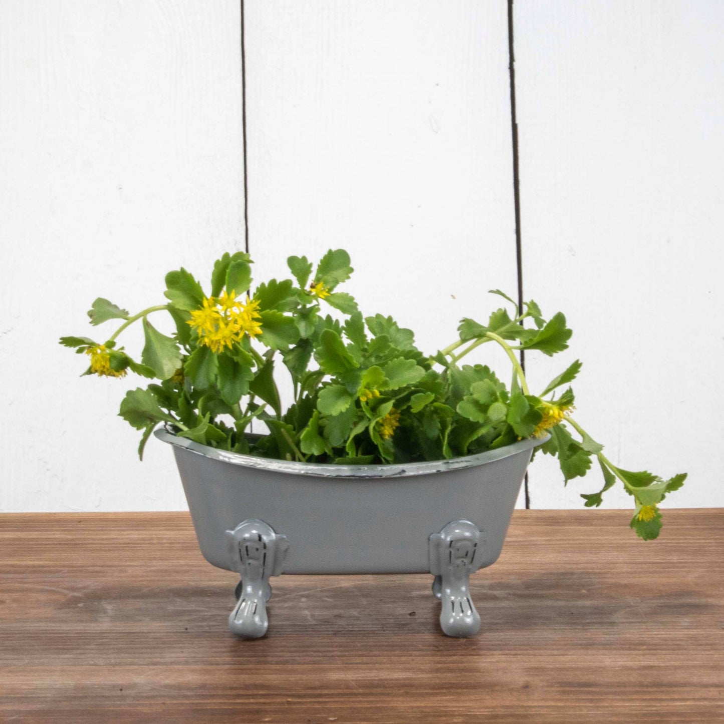 Mini Bathtub Soap Dish | Bathhouse Row Inspired Clawfoot Tub