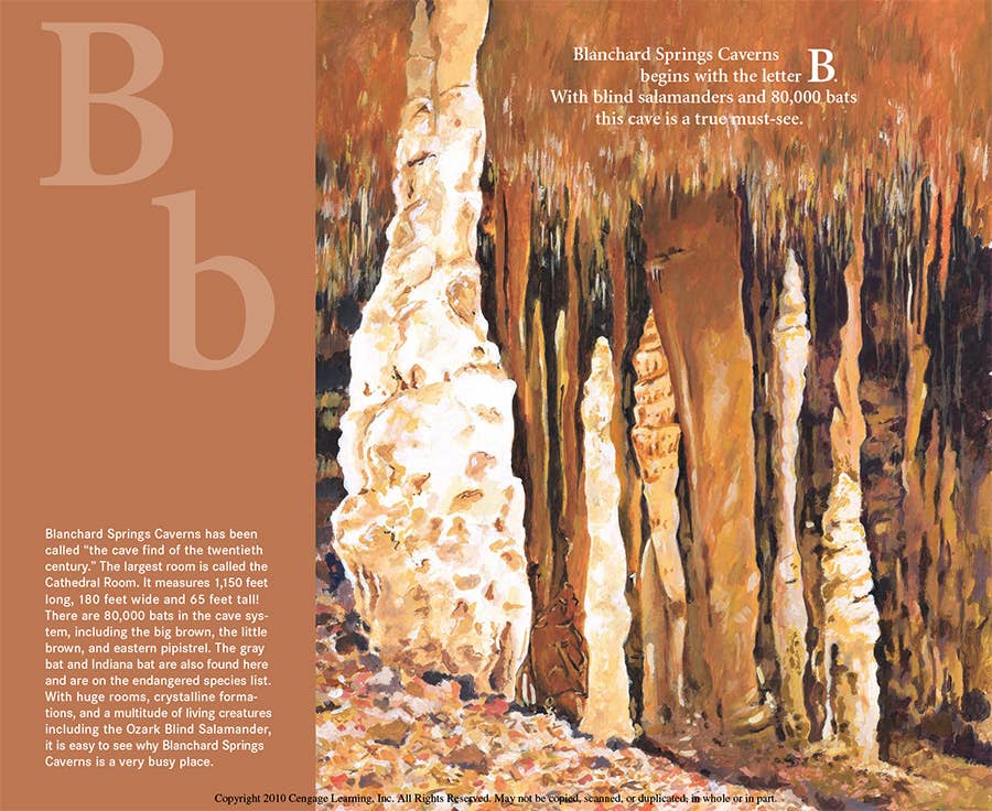 An ARKANSAS picture book: N is for Natural State