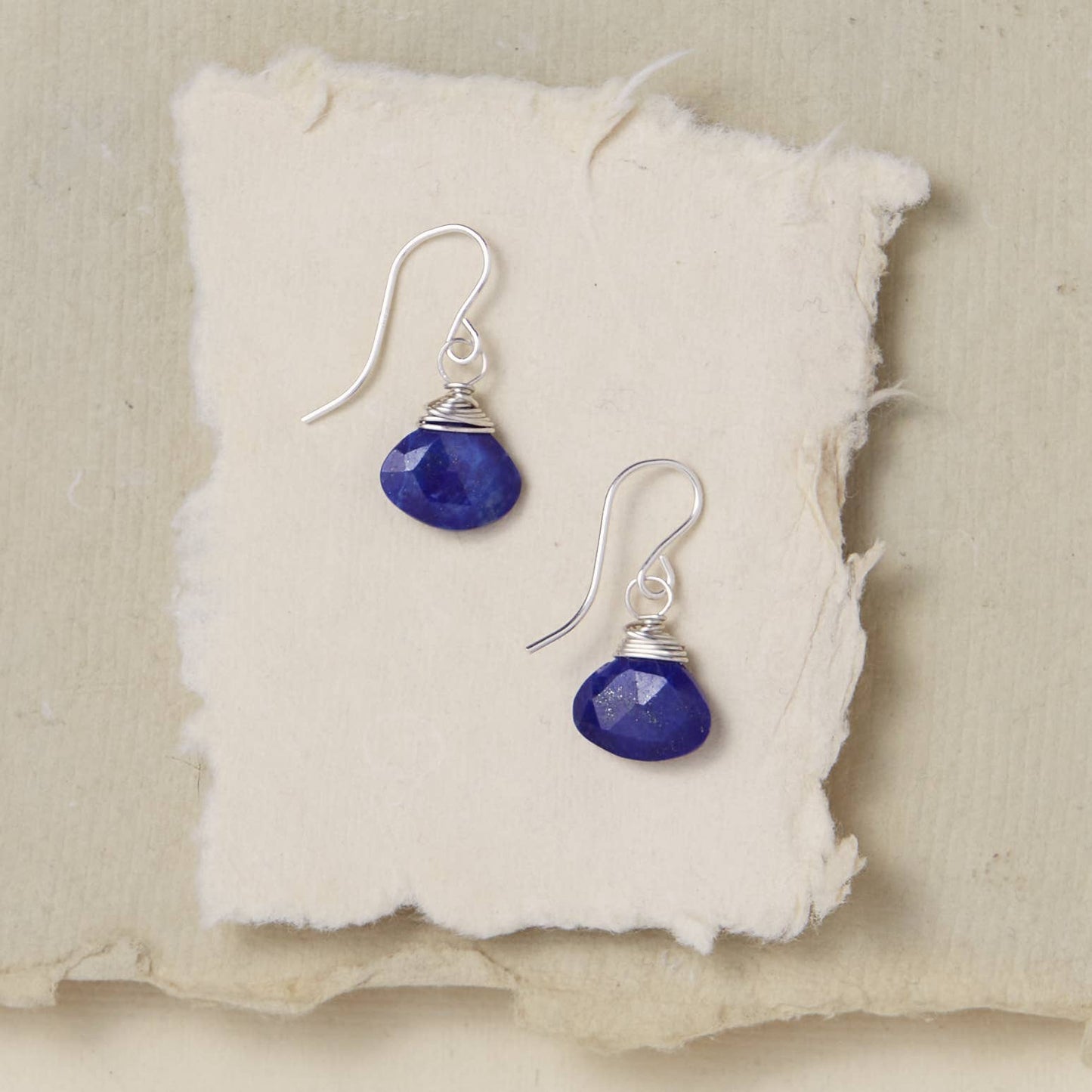 Pantone Earrings - Lapis Natural Stone Earrings