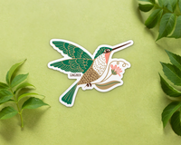 Hummingbird Sticker