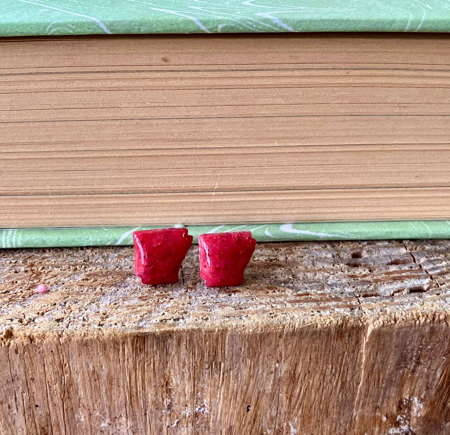 Arkansas Post Earrings