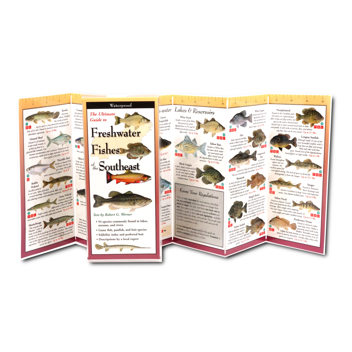 Freshwater Fishes of the Southeast