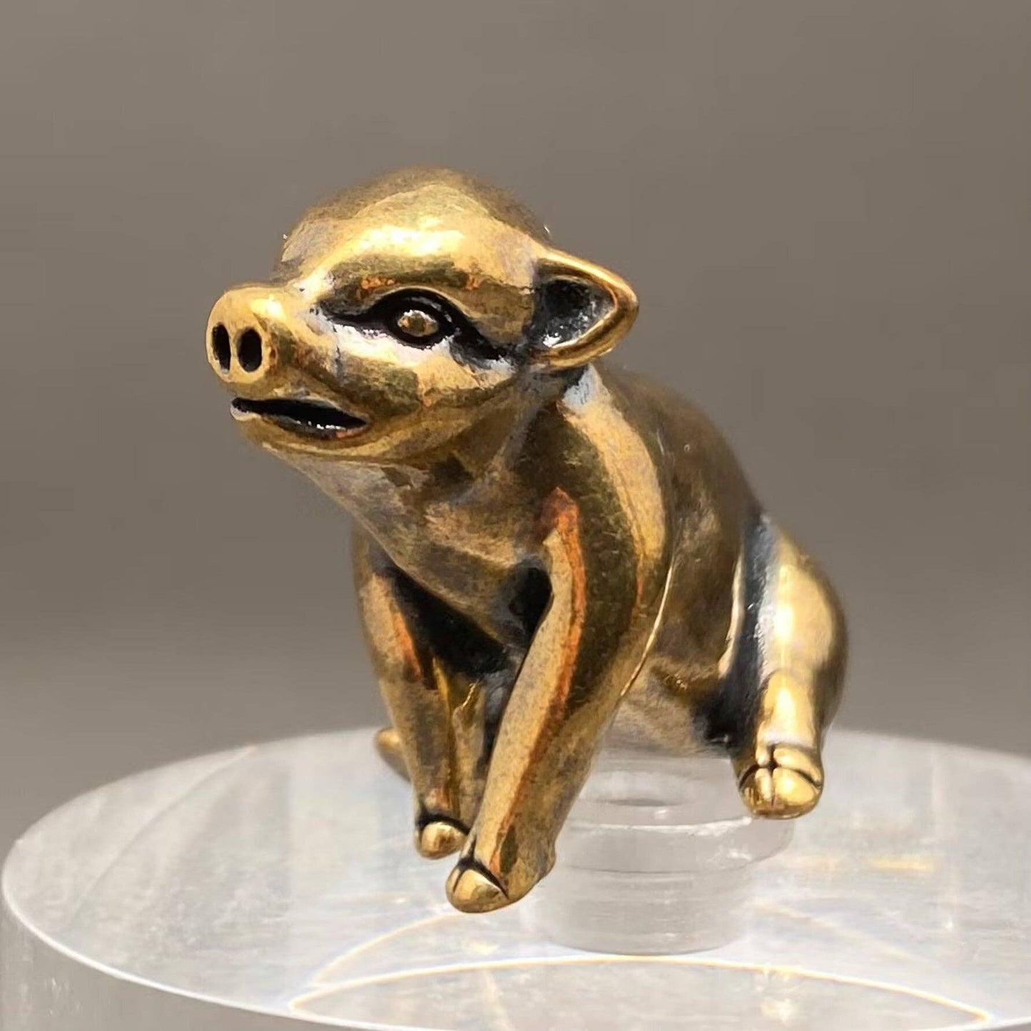 Sitting Brass Pig Figurine