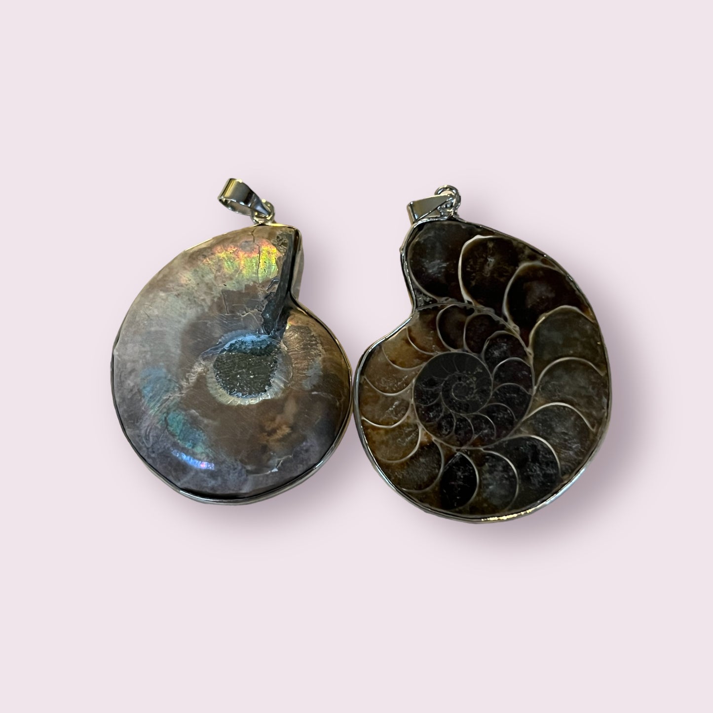 Ammonite Pendant