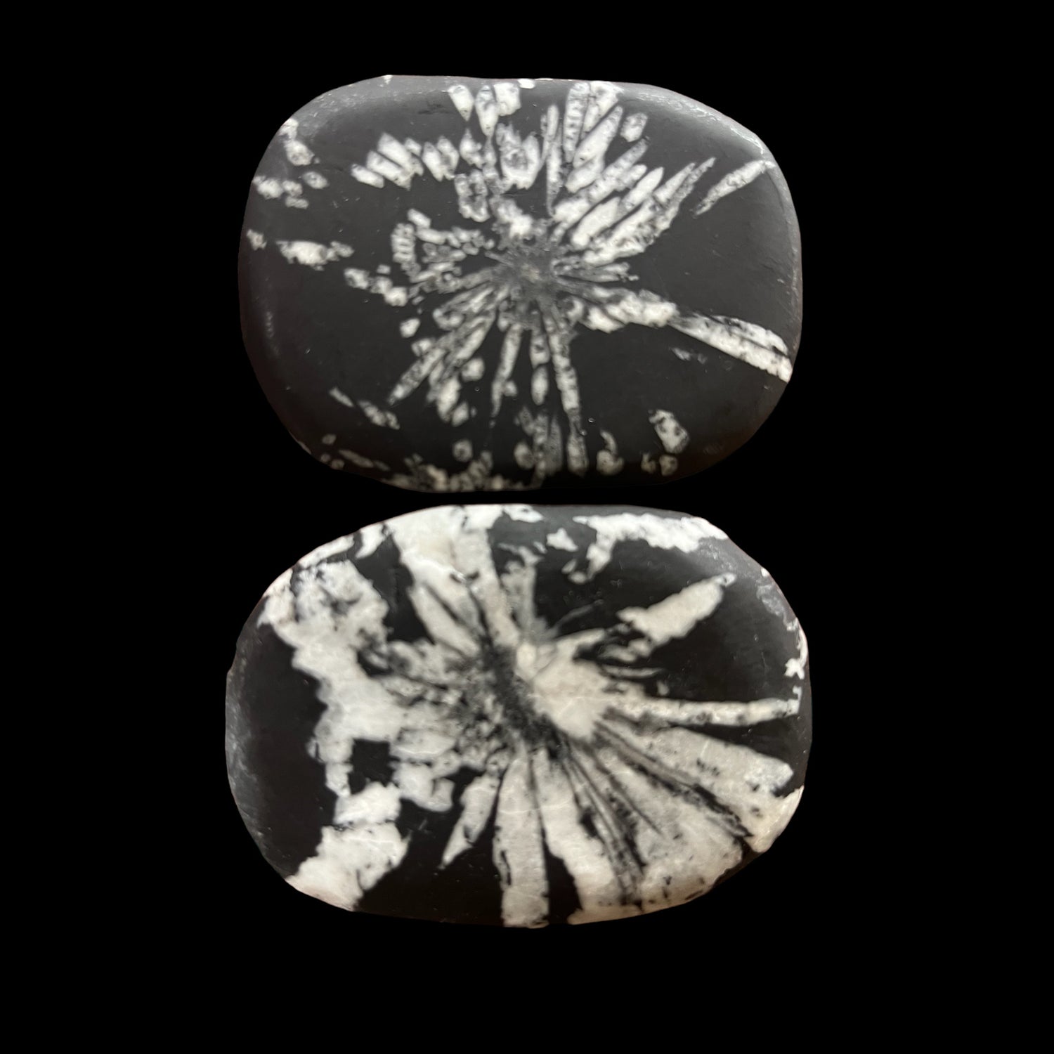 Chrysanthemum Stone