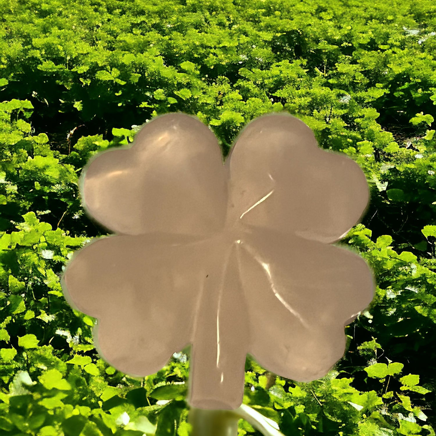 4-leaf Clover