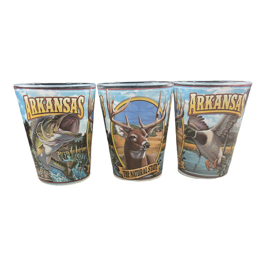 Arkansas Mural Shot Glass