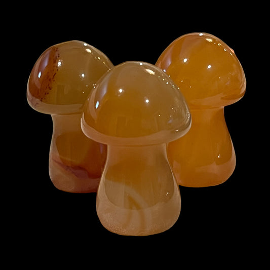 Carnelian Mushroom