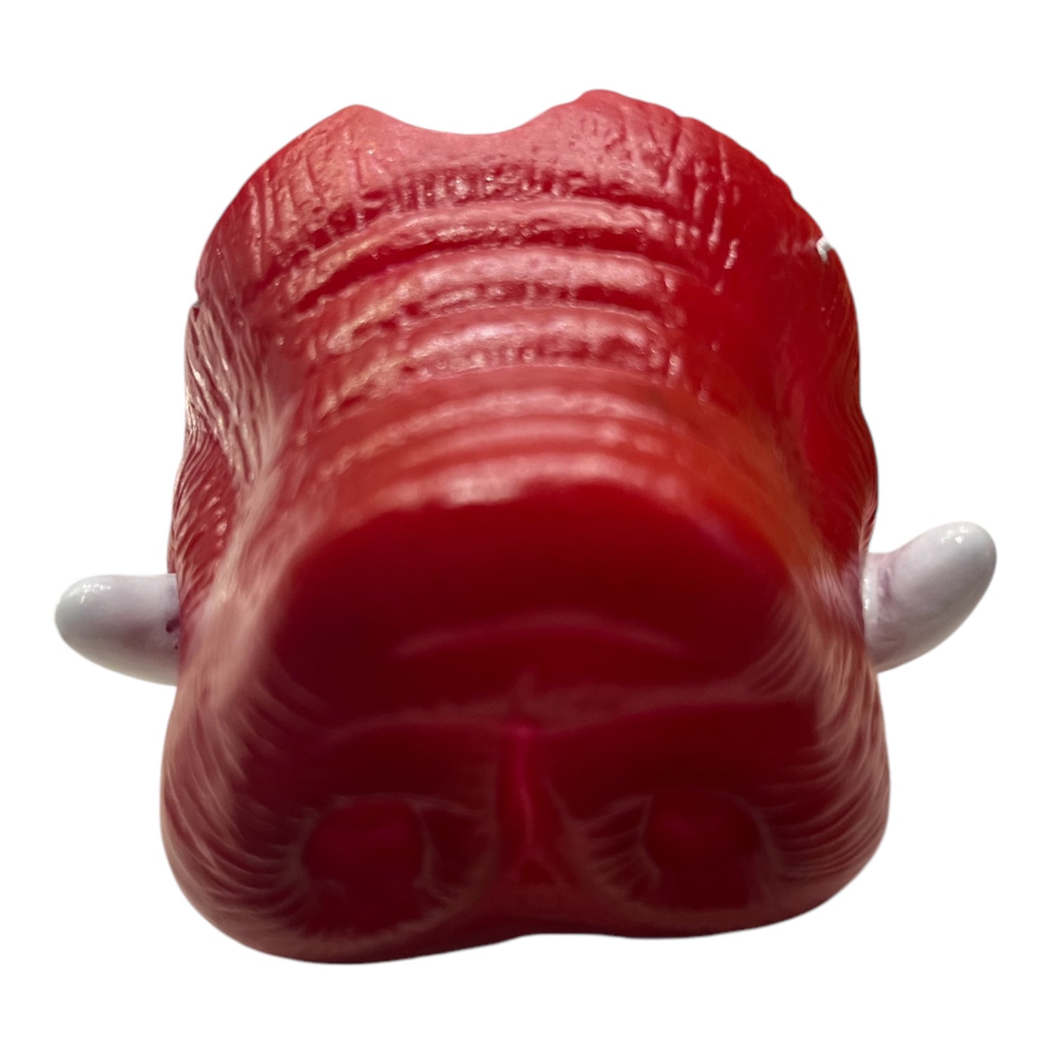 Razorback Nose with Tusk