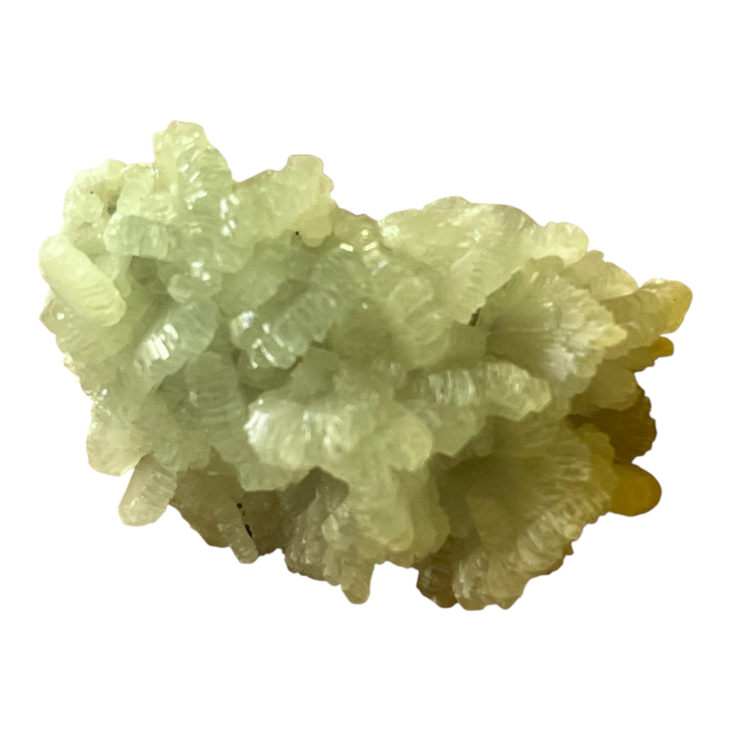 Prehnite Cluster