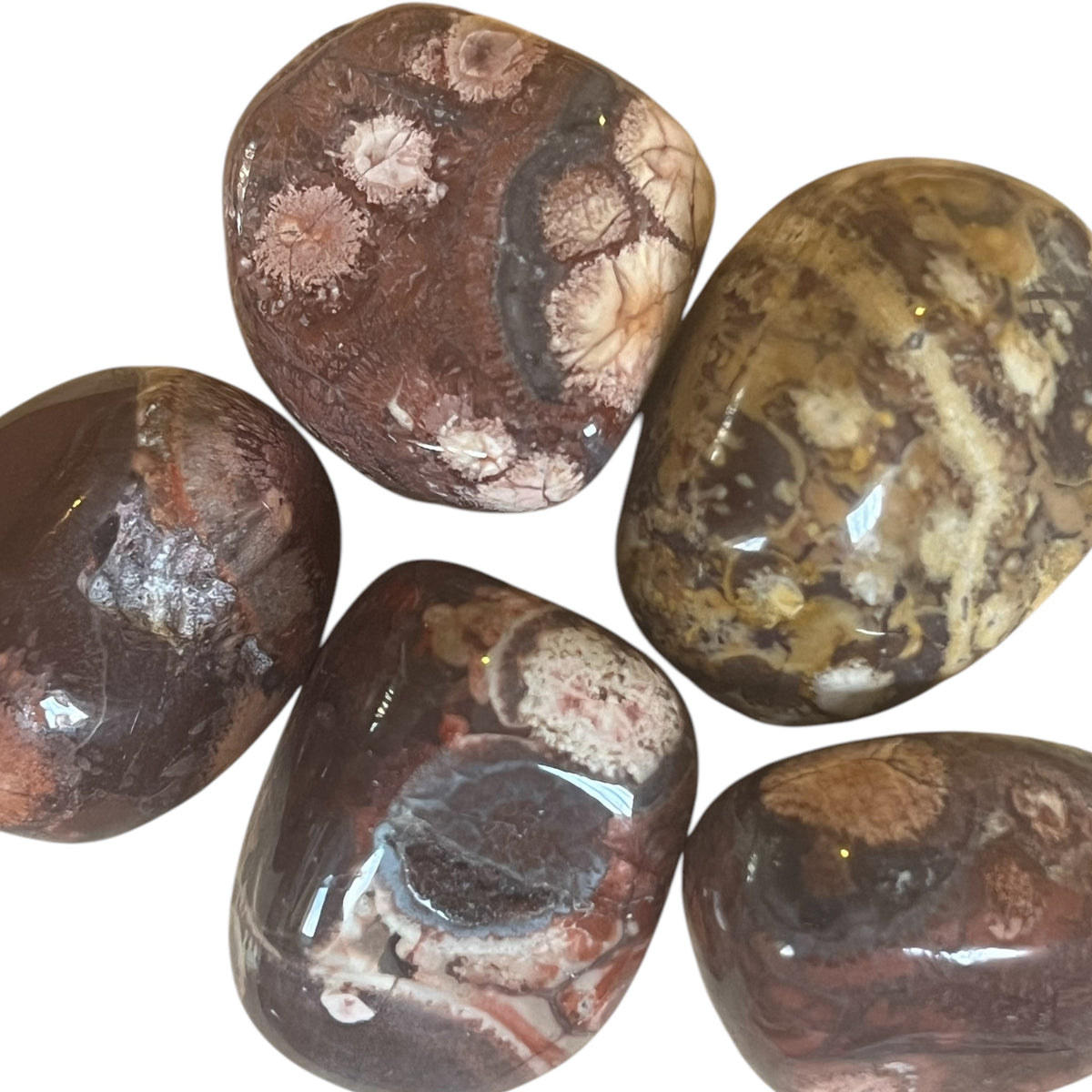 Bird's Eye Rhyolite