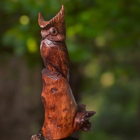 Owl Perched on Stump