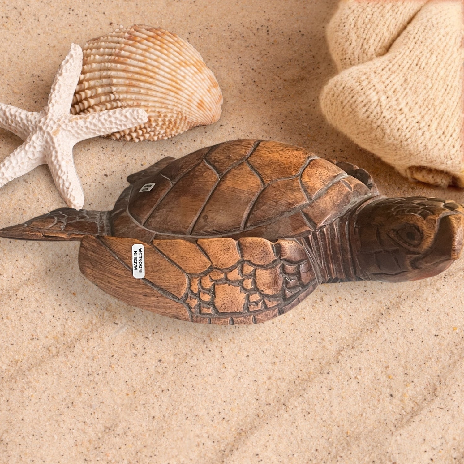 Sea Turtle