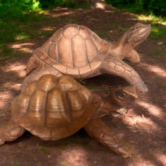 Wood Turtle