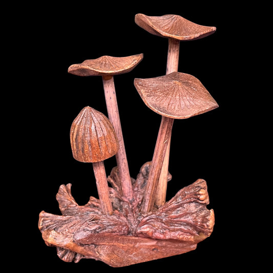 Wood Mushroom