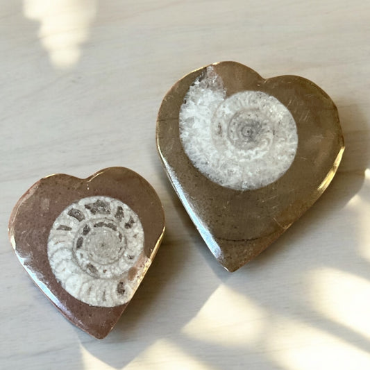 Ammonite Heart Pocket Stone