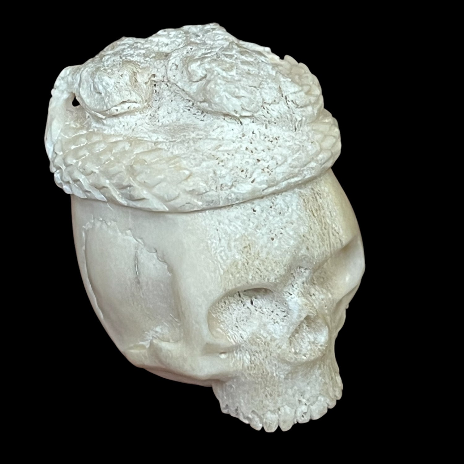 Skull Tip Antler