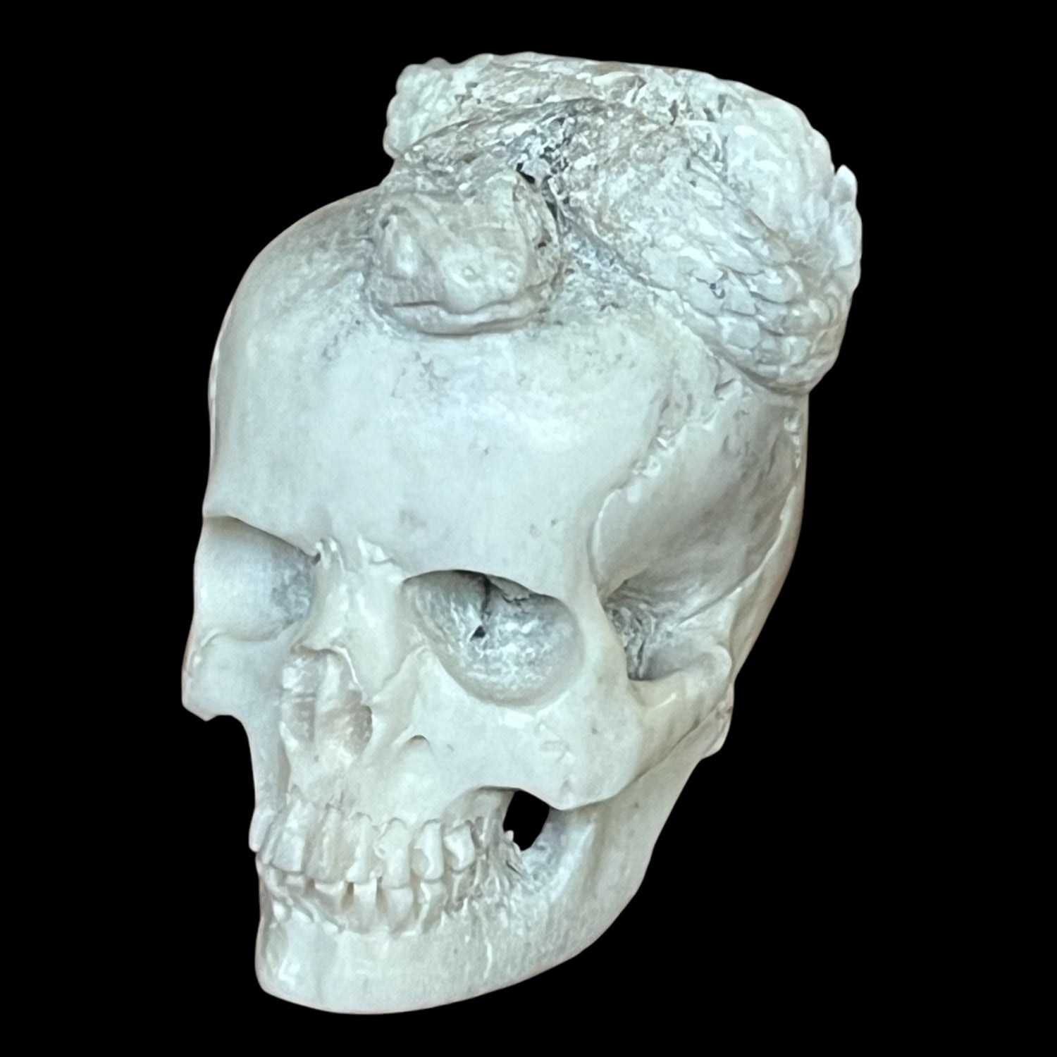 Skull Tip Antler
