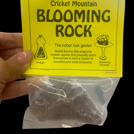 Growing Rocks