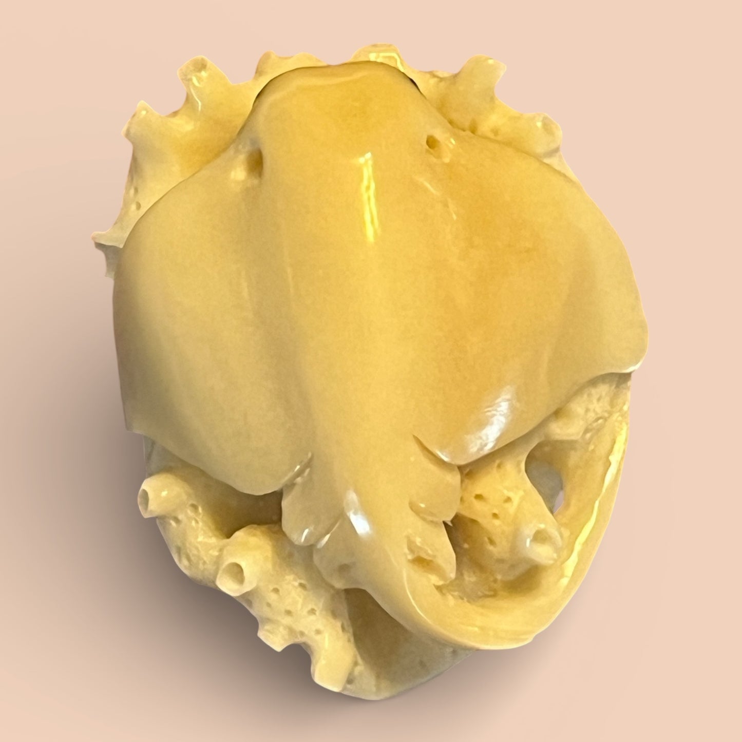 Balinese Tagua Nut Carving