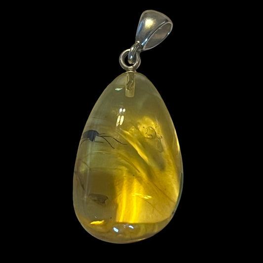 Baltic Amber Pendant  **VISIBLE INSECTS**