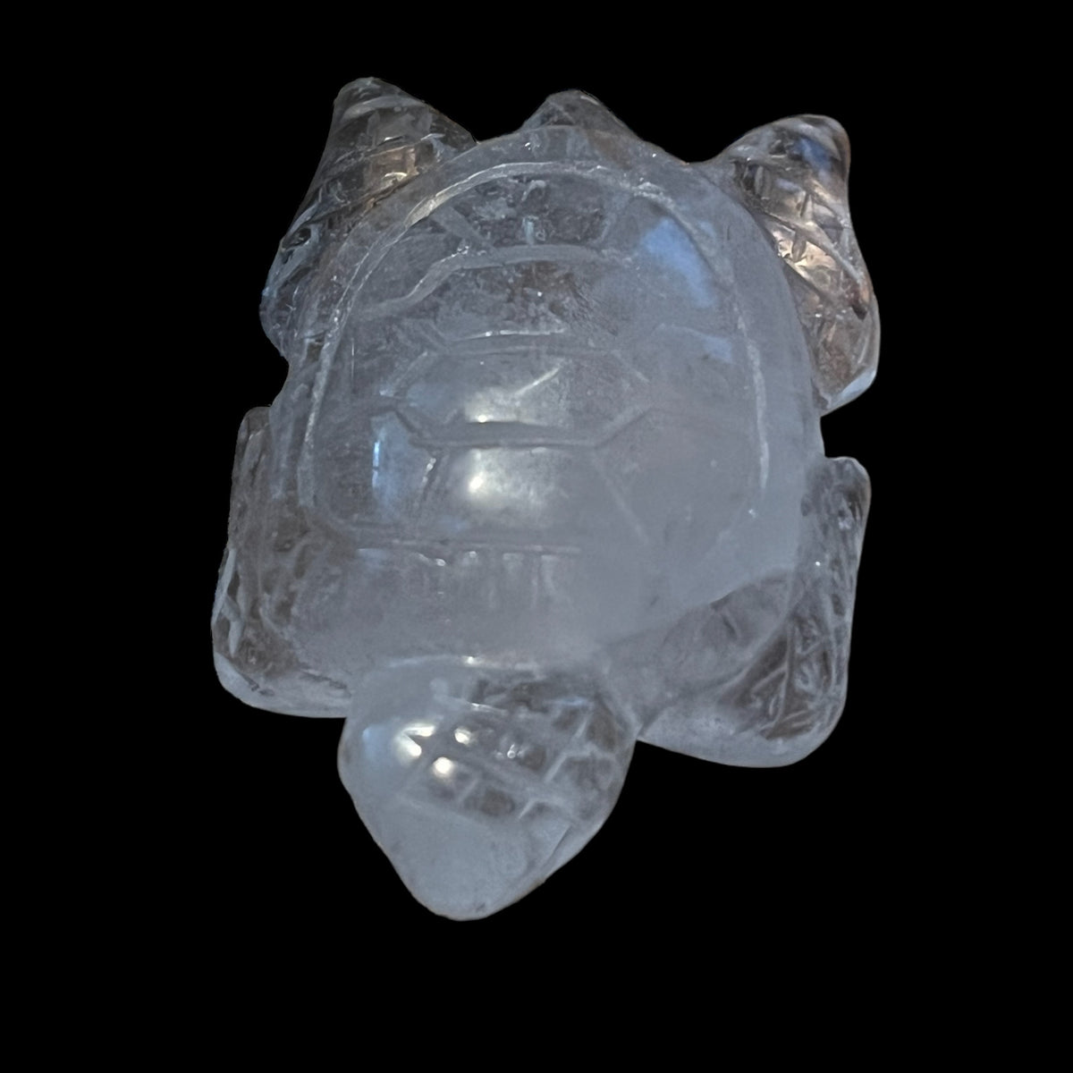 Crystal Turtle