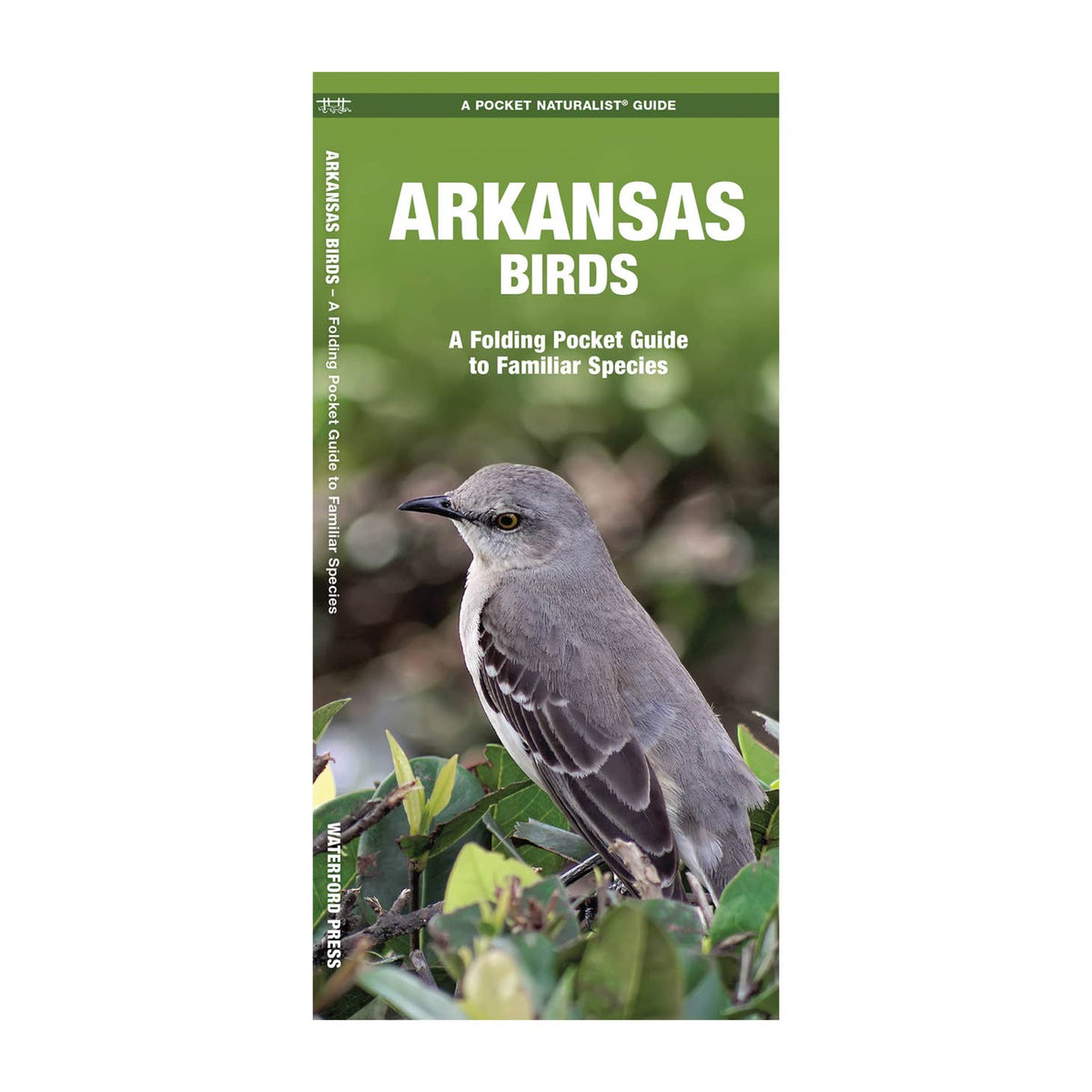 Arkansas Birds