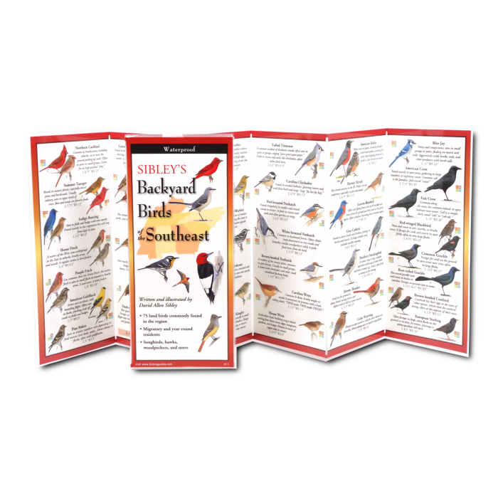 Sibley's Backyard Birds of Southeast