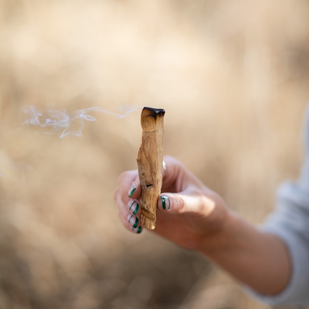 Palo Santo Single Stick