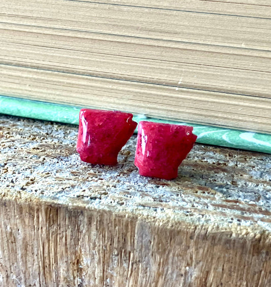 Arkansas Post Earrings