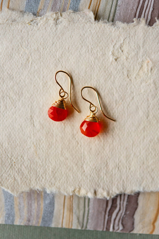 Pantone Earrings | Carnelian Natural Stone Earrings
