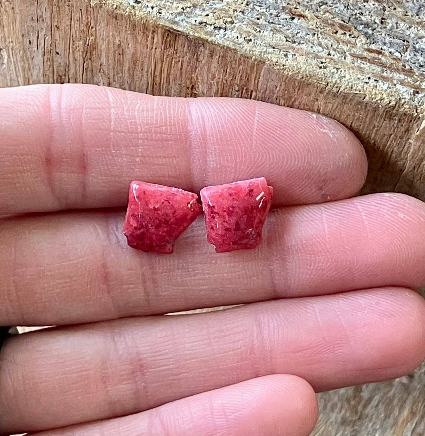 Arkansas Post Earrings