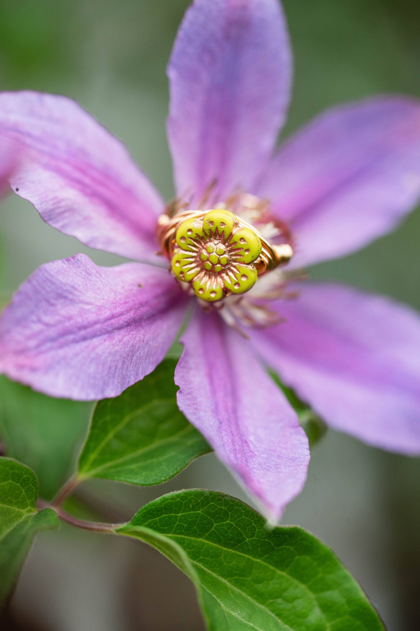 FLOWER POWER | Wire Wrapped Ring