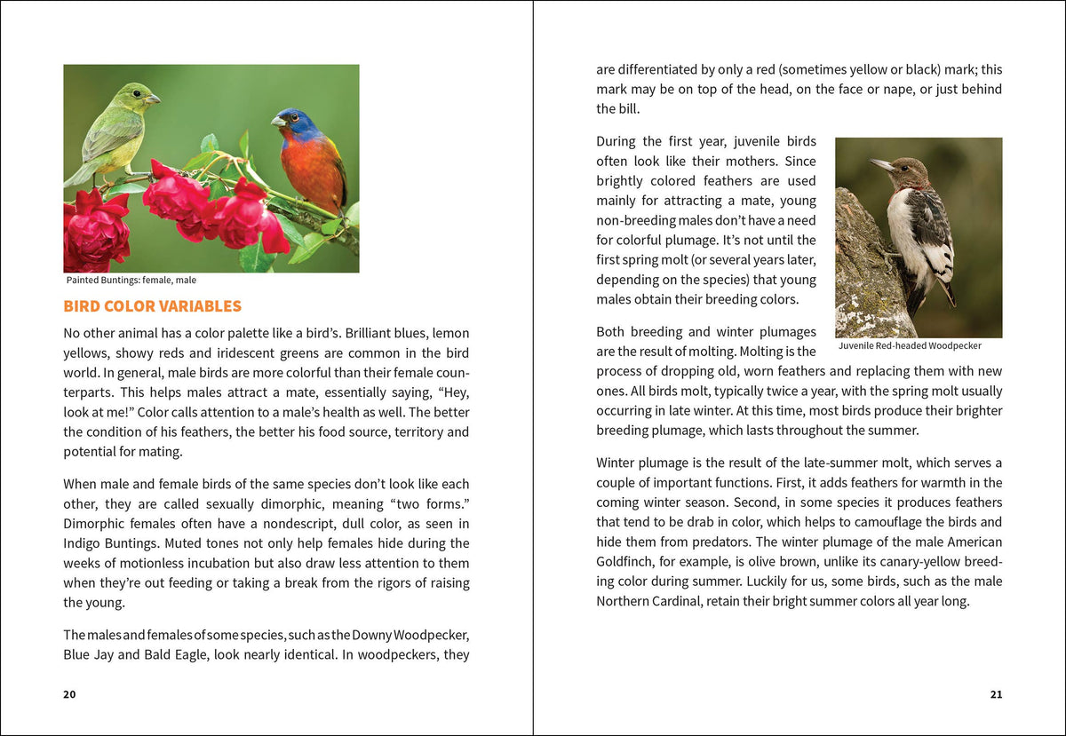 Stan Tekiela Birding Beginners: South