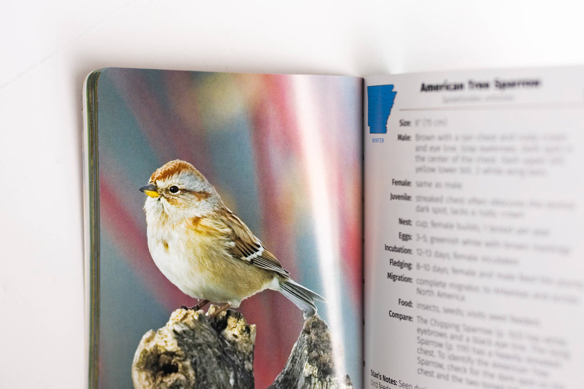 Birds of Arkansas Field Guide